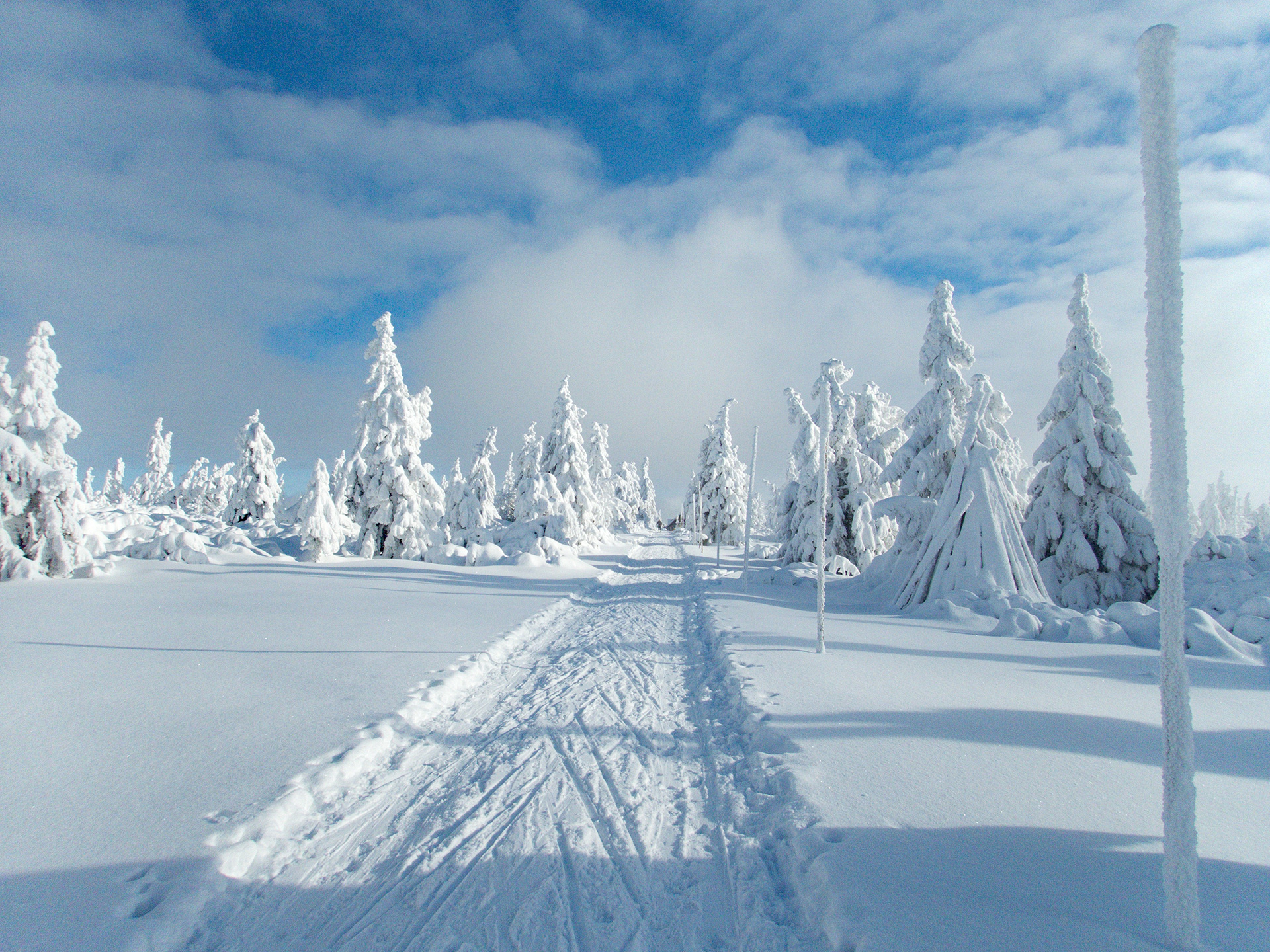 Krkonoše